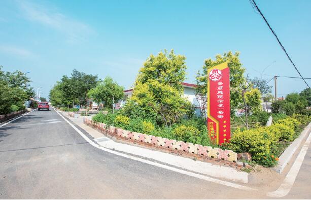 拿出青岛担当:打造乡村振兴齐鲁样板先行区